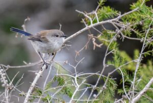 フォトフェイシャルの効果は本当にあるのか？