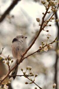 家庭用シミ取りレーザーは本当に効果あるのか？