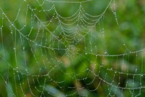 シミに効果的な美容液の体験談はどんなものがあるの？