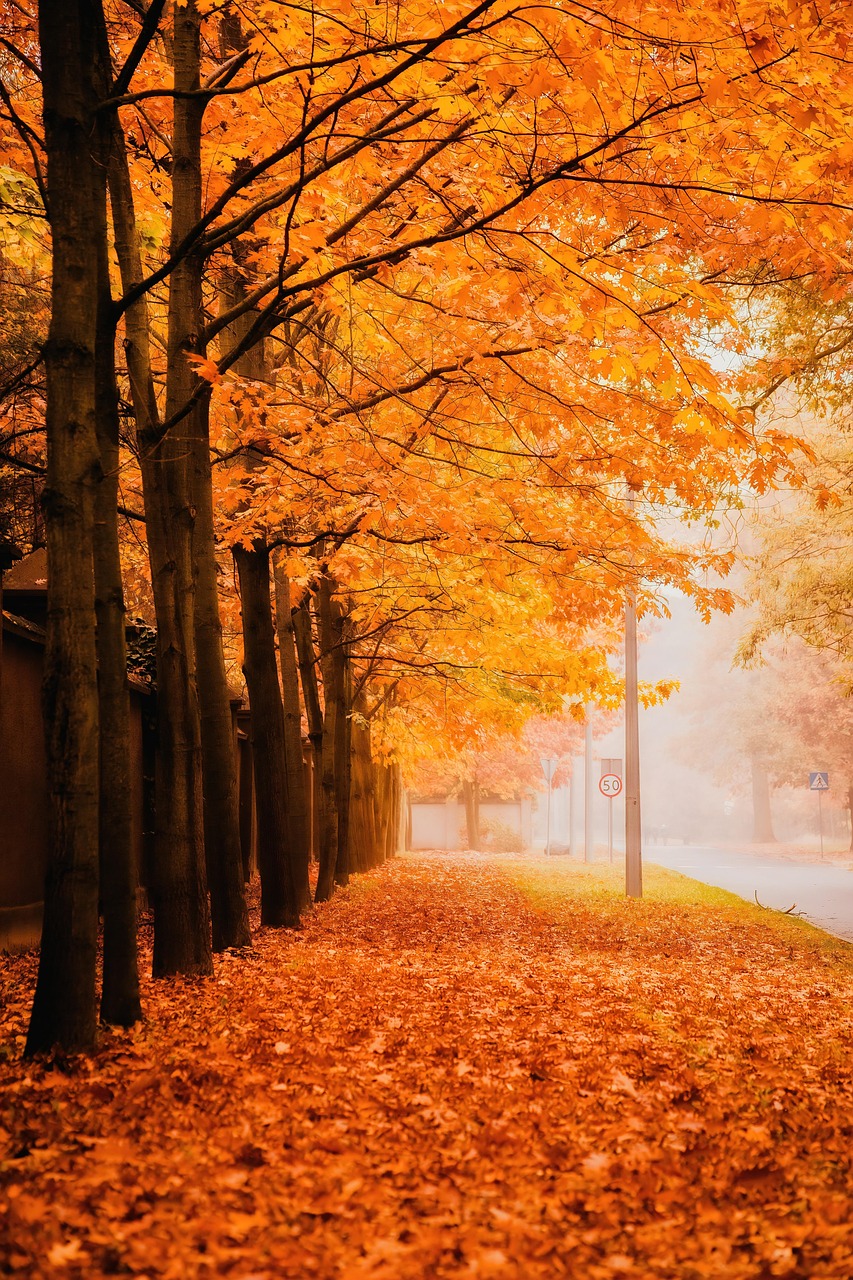 シミが完全に消える方法は本当にあるの？