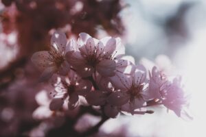 睡眠不足が引き起こすシミの原因とは？